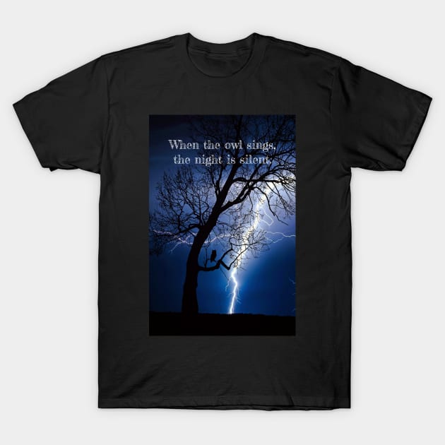 Owl in the night T-Shirt by AriDesign